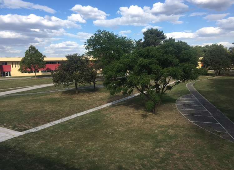 Universidad de Moreno